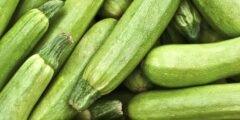 فوائد الكوسة الصحية والمذهلة