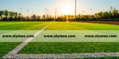 شركة تجهيز ملاعب بالرياض