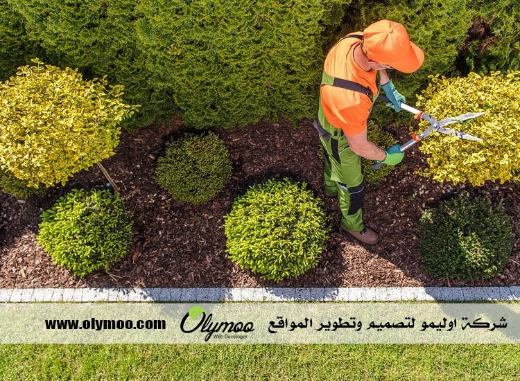 شركة تنسيق حدائق بالرياض