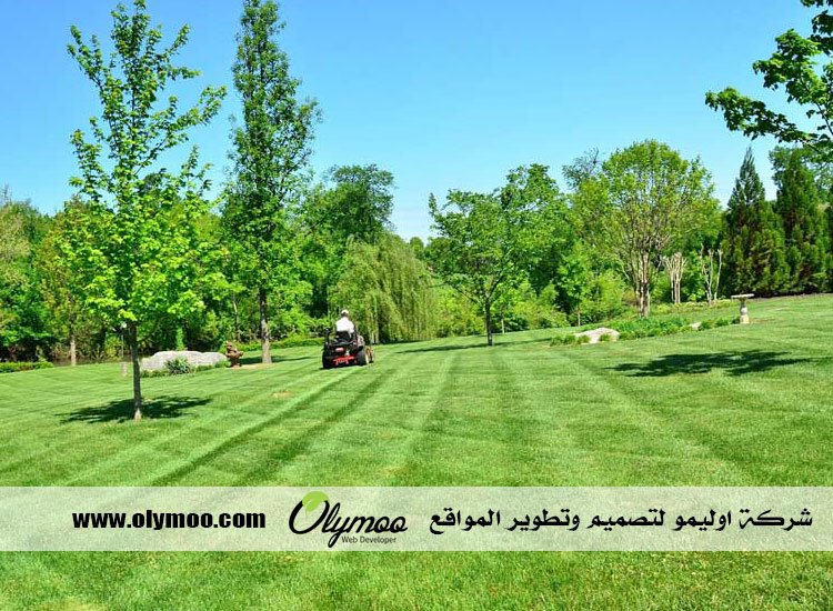 شركة تنسيق حدائق بالرياض