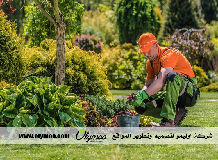 شركة تنسيق حدائق بالرياض