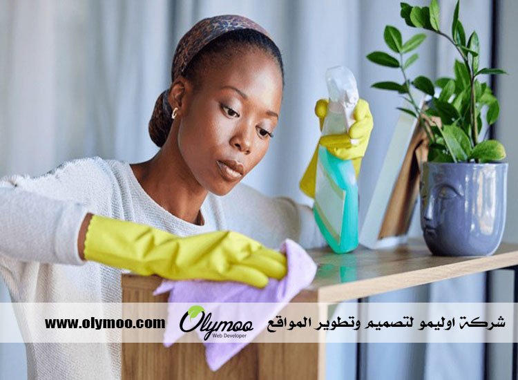 شركة تنظيف في رأس الخيمة