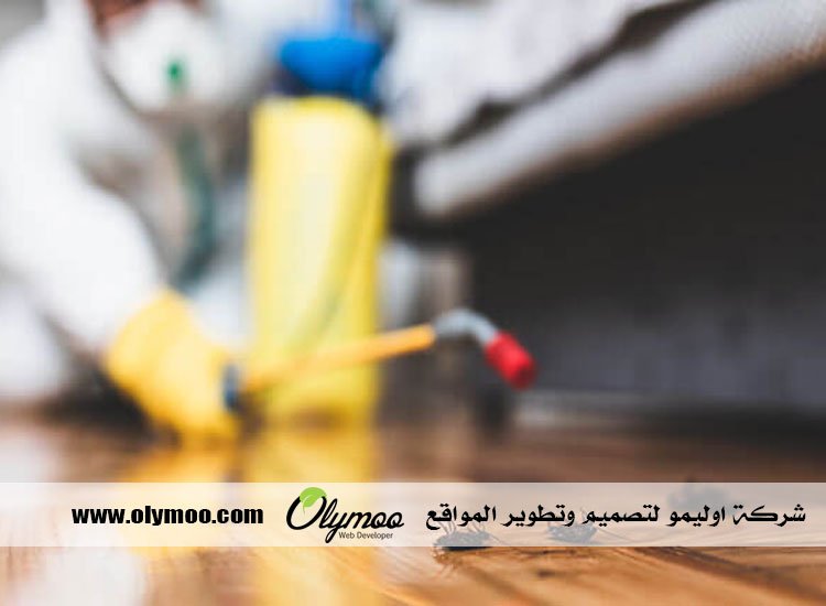 شركة مكافحة حشرات بجدة