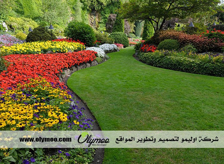 تنسيق حدائق بالرياض