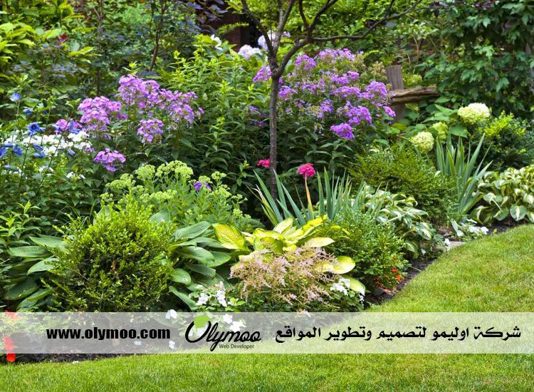 شركة تنسيق حدائق بالرياض